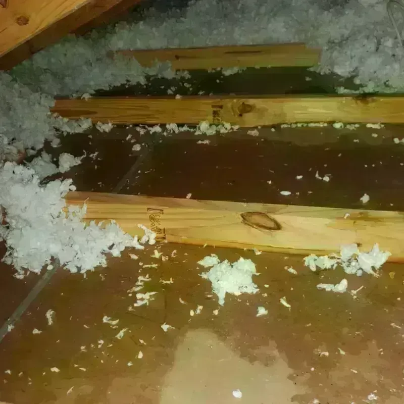 Attic Water Damage in Strongsville, OH